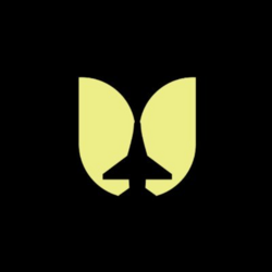 Flying TulipLOGO