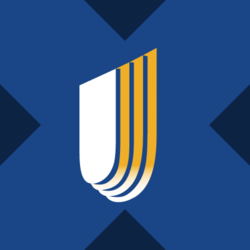 Wrapped UnitedHealth xStockLOGO